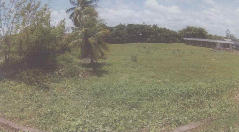 Terreno no Bom Pastor (foto 2 de 5)