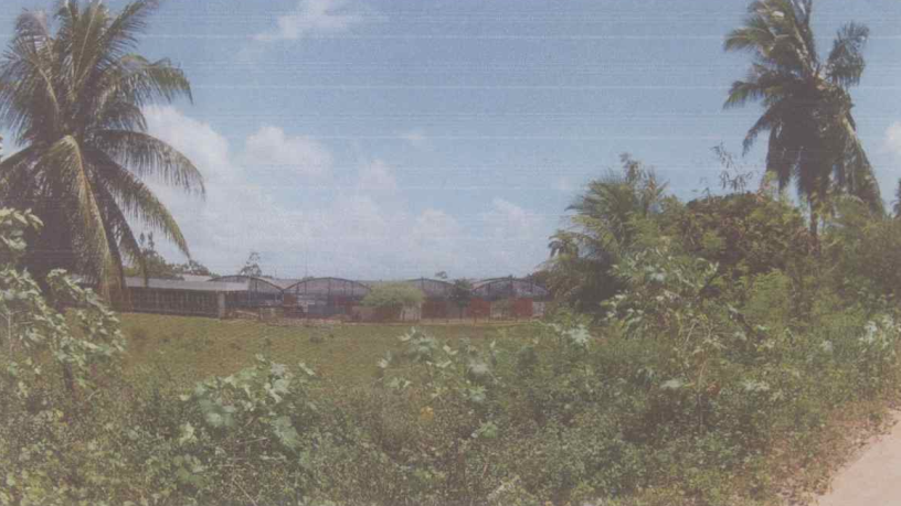 Terreno no Bom Pastor (foto 4 de 5)